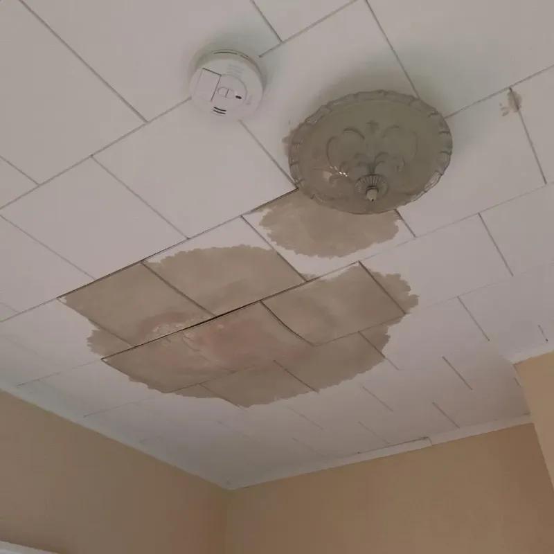 Ceiling Water Damage Repair in Hartley County, TX