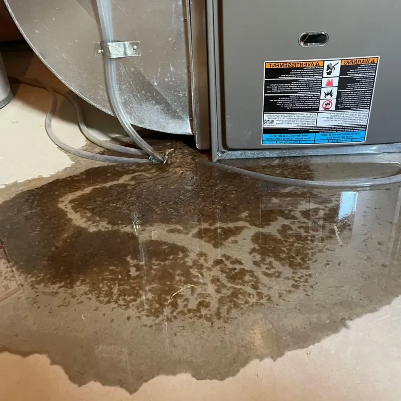 Pipe Burst and Leak Restoration in Hartley County, TX