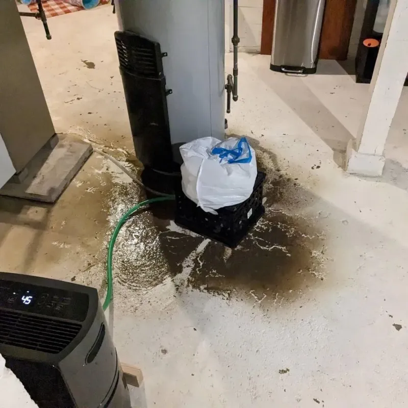 Sewage Backup Cleanup Service in Hartley County, TX